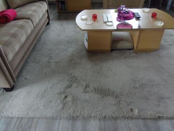 Vloerkleed 200 x 300               GRATIS