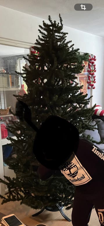 Kunstkerstboom GRATIS 2 meter hoog in draagzak