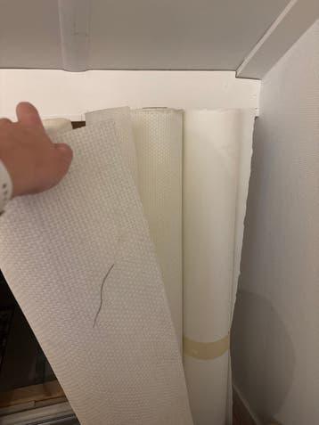 Glasvliesbehang met en zonder motief