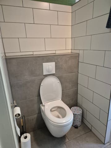 Toilet met inbouwreservoir en drukplaat