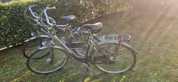 Twee Gazelle damesfietsen