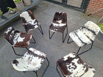 Eetkamerstoelen koeprint