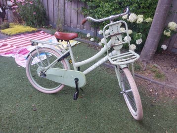 Meisjesfiets 22 inch met voordrager en terugtraprem