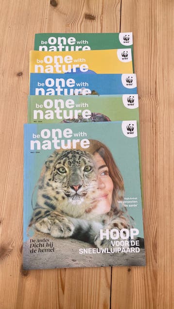 WWF magazines