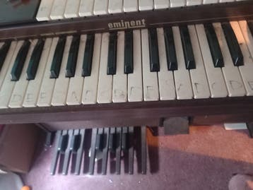 Orgel
