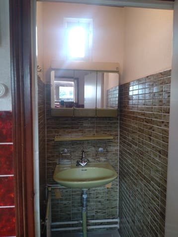 Groene retro wastafel met spiegelkast en plank