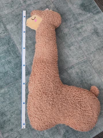 Zwangerschapskussen lama