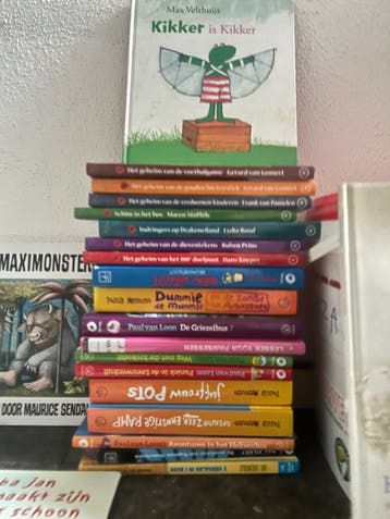 Grote collectie kinderboeken (20+ stuks)