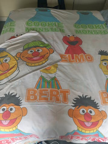 Gratis 1-persoons overtrek Sesamstraat katoen/polyester