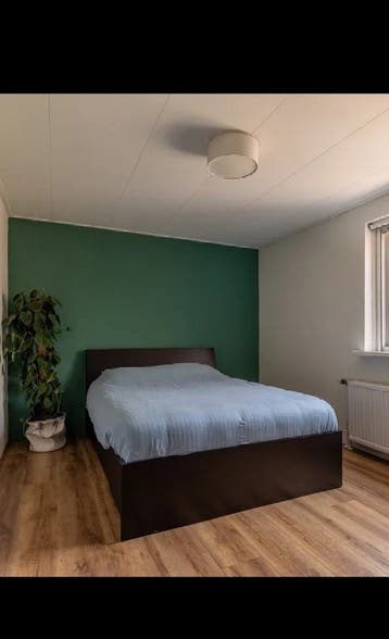 IKEA MALM bedframe 160x200cm
