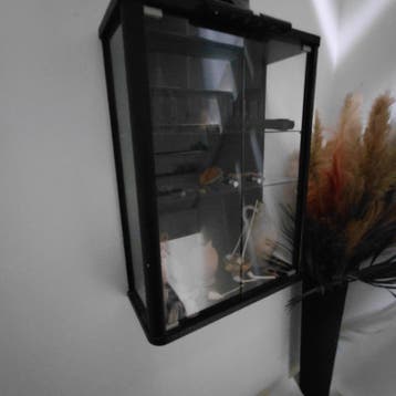 Gratis Vitrinekasten - Wandmontage (Groot & Smal Model)