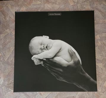 GRATIS , canvas 50 x 50 cm, zgan
