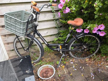 Gratis fiets/oud ijzer