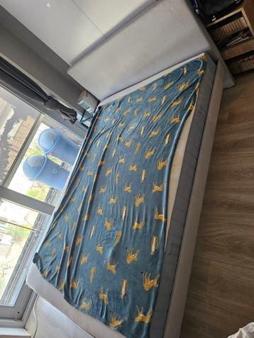 aleen bed