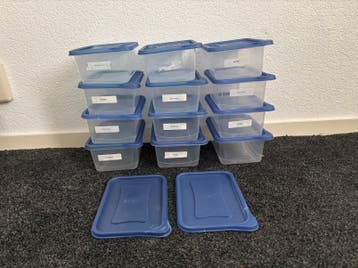 Action vershoudbakjes 12 stuks
