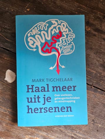 Haal meer uit je hersenen - Mark Tigchelaar (prima staat)