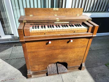 Drukwind Harmonium Dewingle