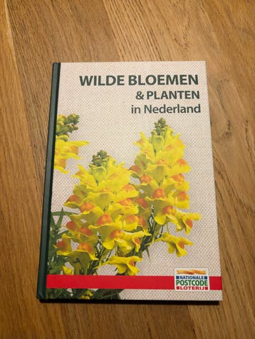 Wilde Bloemen & Planten in Nederland - Nationale Postcode Lo