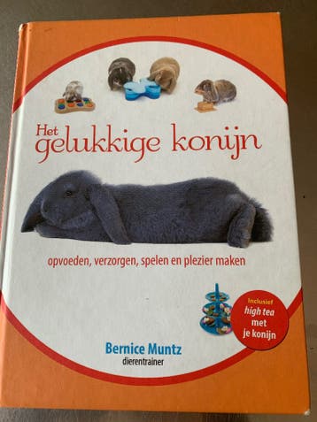 Boek: het gelukkige konijn