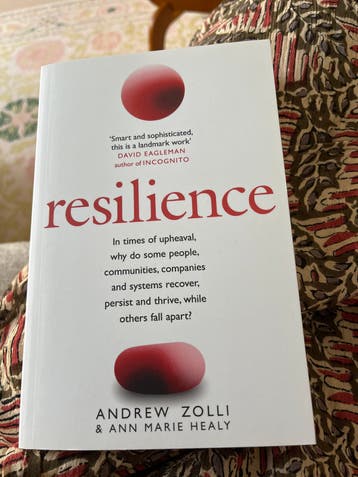 Resilience: Herstel in tijden van verandering