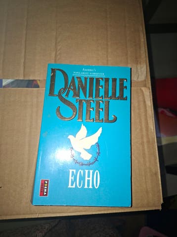 Danielle Steel - Echo (Poema Roman)