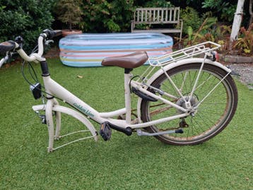 Golden Lion kinderfiets 22 inch - Mist voorband