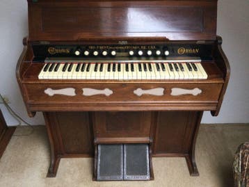 Orgel