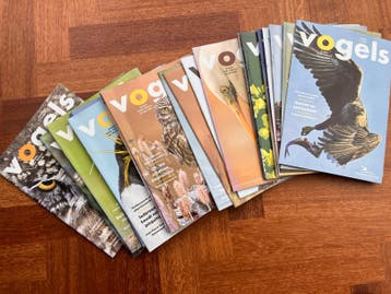 Gratis: Meerdere jaargangen Vogels (Vogelbescherming)