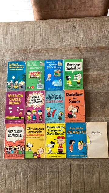 USA paperback / charlie brown by m. schultz