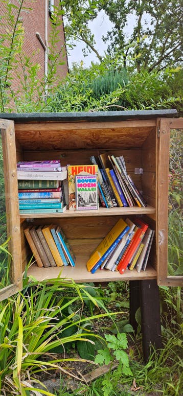 Diverse boeken uit minibieb - voor jong en oud