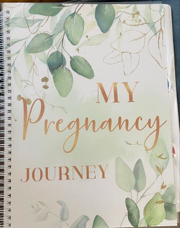 Mijn Zwangerschapsdagboek - My Pregnancy Journey
