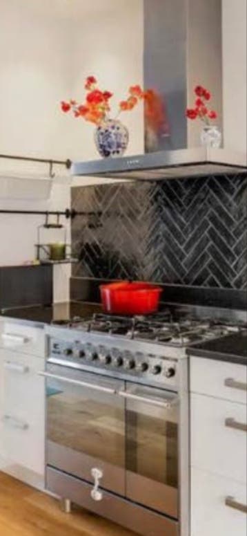 GRATIS Luxe RVS Fornuis met Gas Kookplaat en Dubbele Oven