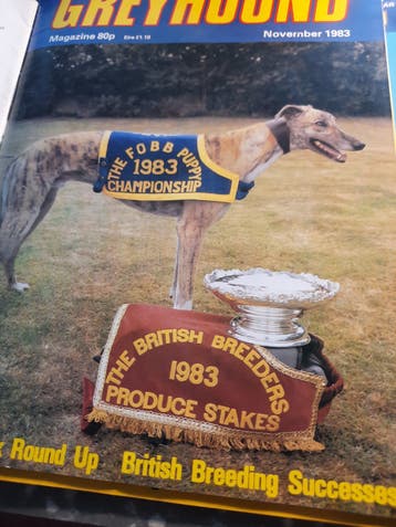 3 ingebonden jaargangen Greyhound Magazine )