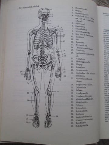 Gratis: boeken gezondheid, verzorging, medisch, voeding