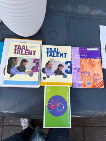 Taaltalent 2 & 3 + Grammatica + Woordenboek
