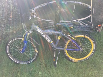 Batavus Snake 20 inch