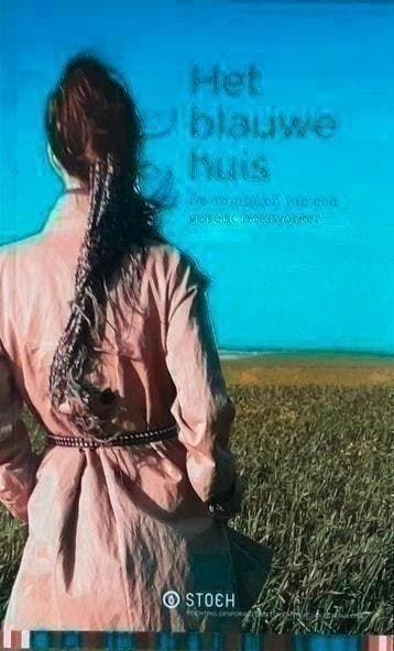 Het blauwe huis - Judith Reinsma