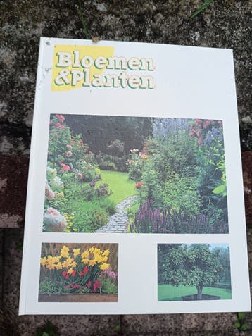 2 Klappers *Bloemen & Planten iemand interesse?