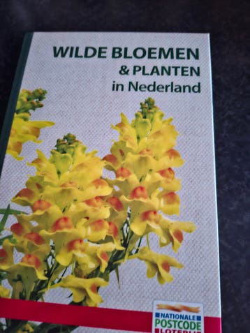 Wilde Bloemen & Planten