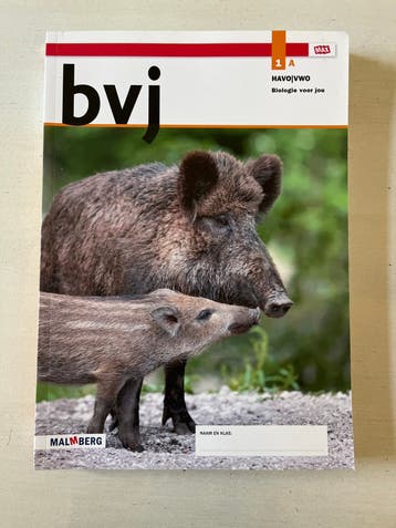 Diverse schoolboeken: Biologie, Wiskunde, Geschiedenis, Spel