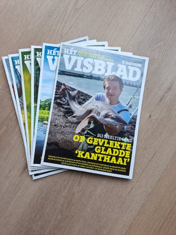 Visblad