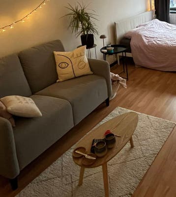 Grijze 2 zits bank (ikea Angersby)