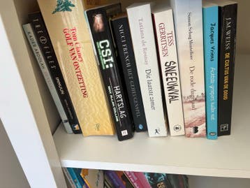 Diverse boeken: thrillers, romans, jeugdboeken tegen elk bod