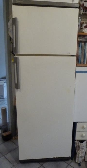 koelkast met diepvries Bauknecht - gratis i.v.m. verhuizing