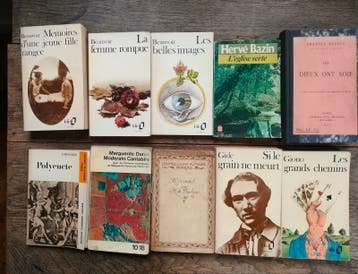 Franse literatuur: Klassieke boeken van Apollinaire tot Zola