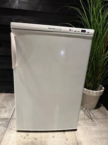 LG Expresscool Vriezer - Compact en Efficiënt