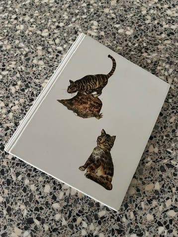 Mini Foto album voor foto's of ansichtkaarten