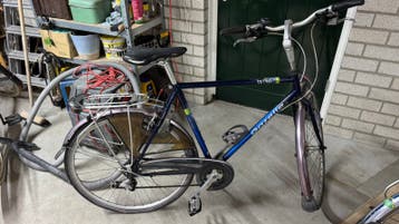 Gazelle medeo - opknapper