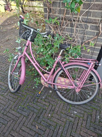 Roze meisjesfietsmet mandje - Gebruikt