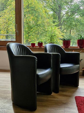 leren kuipstoelen